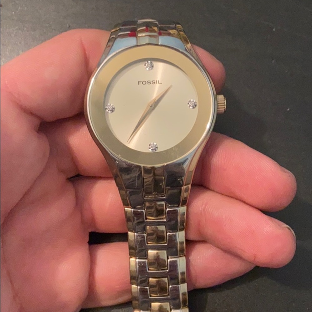 Fossil arkitekt